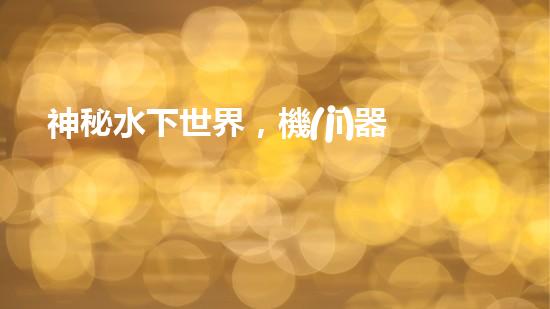 神秘水下世界，機(jī)器人探秘的奇幻之旅！